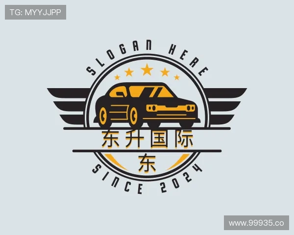 概述东升国际